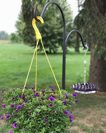 A hanging basket of purple flowers next to a bird feeder.