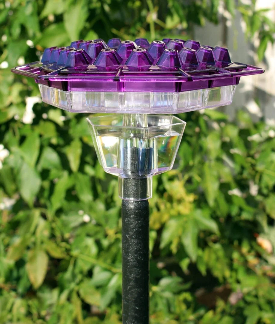 A purple bird feeder sitting on top of a pole.