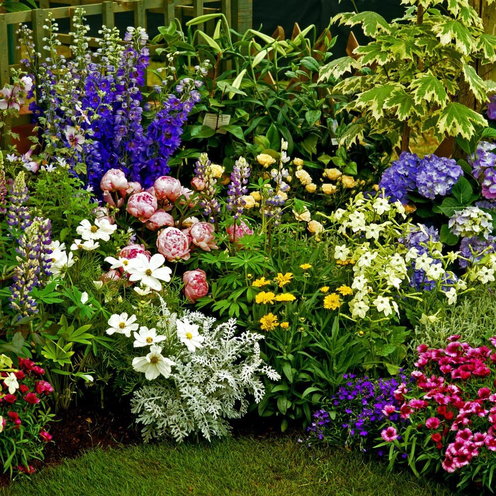 A garden filled with lots of different flowers.