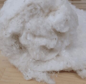 A pound of loose, organic cotton. Very good for use as nesting material.